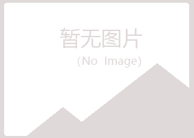 青海晓夏采矿有限公司